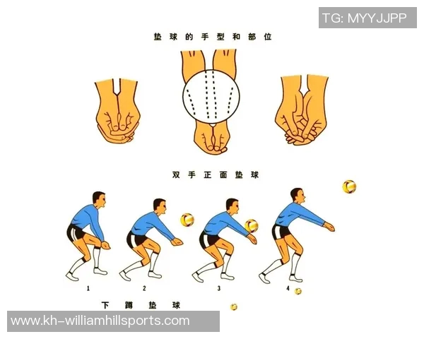 排球新手必看攻略与全面入门指南助你快速掌握技巧与战术