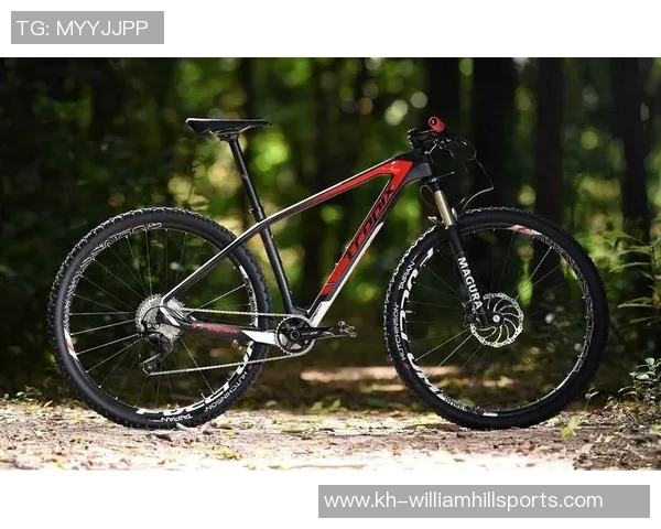 西安滑板队在极限运动联赛中以67分稳居积分榜首位实时数据